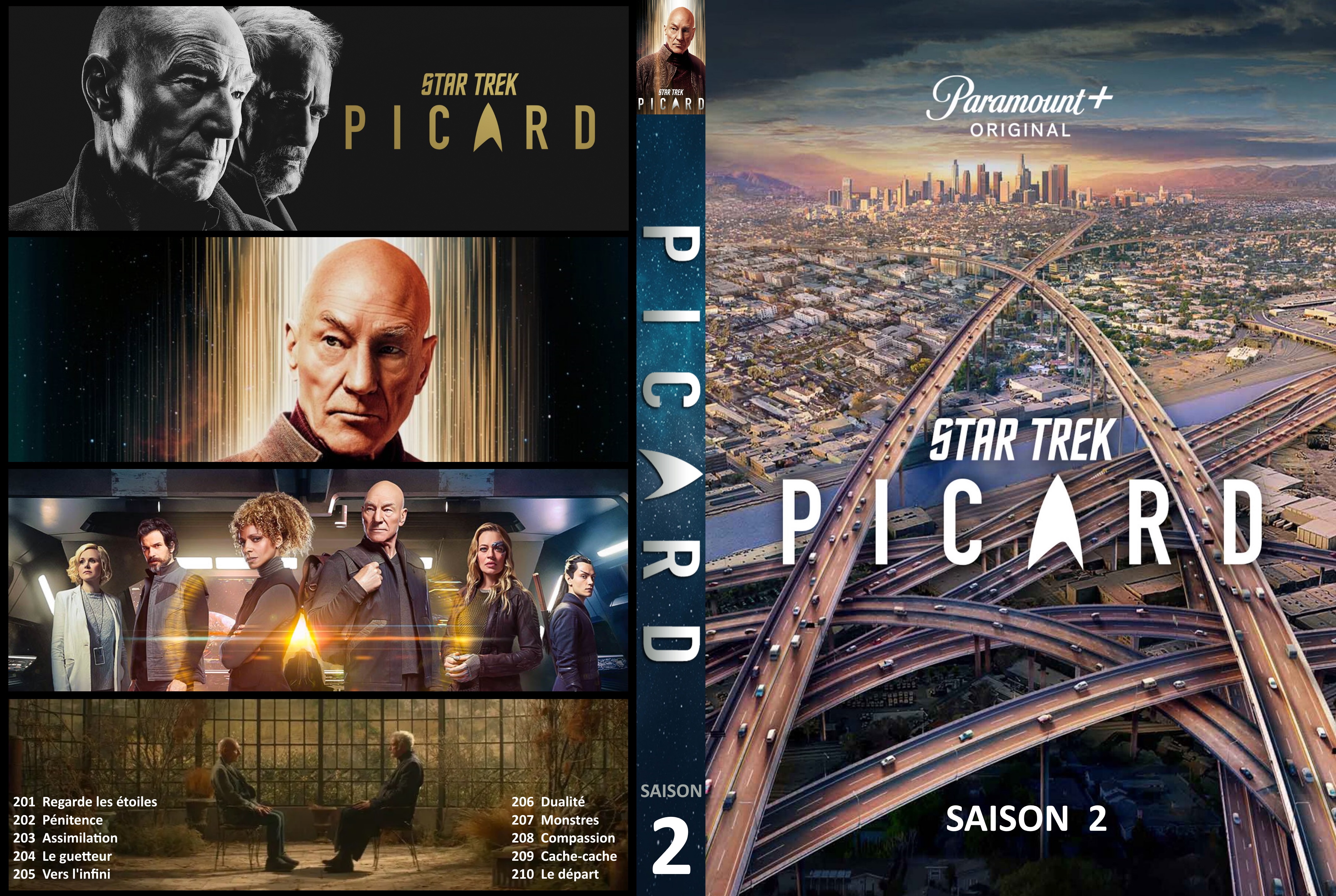 Jaquette DVD Star Trek Picard saison 2 custom