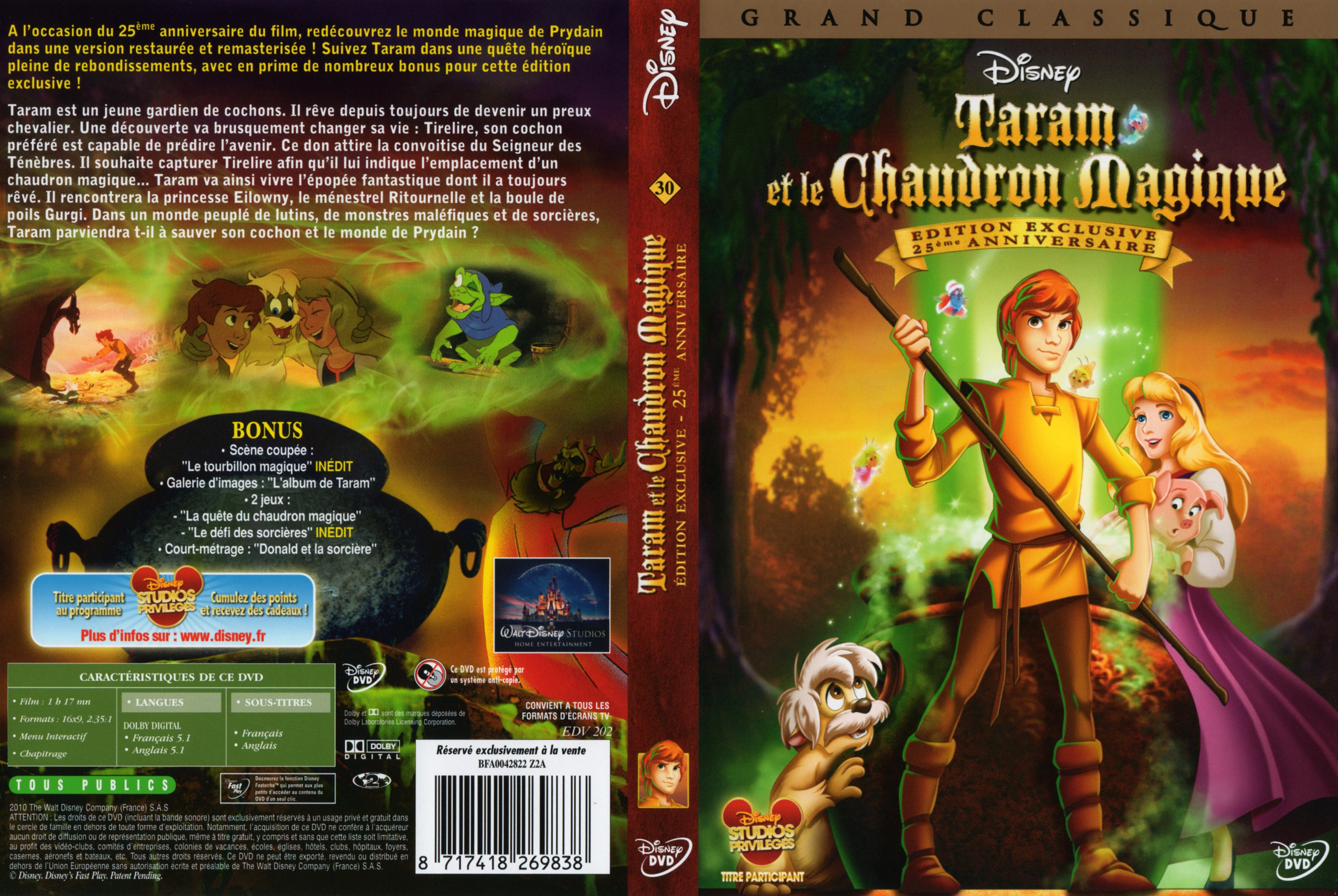 Jaquette DVD Taram et le chaudron magique v2