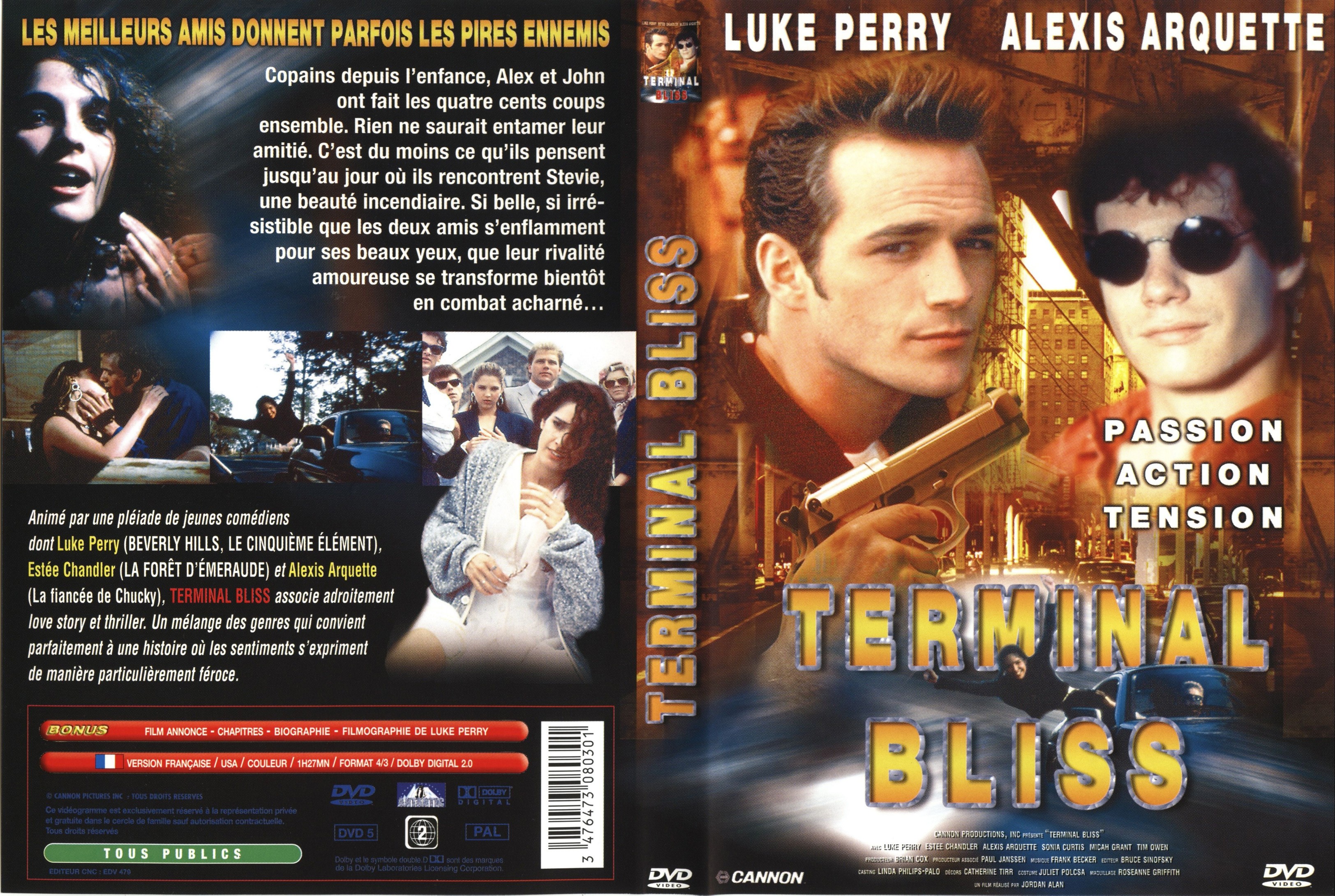 Jaquette DVD Terminal bliss