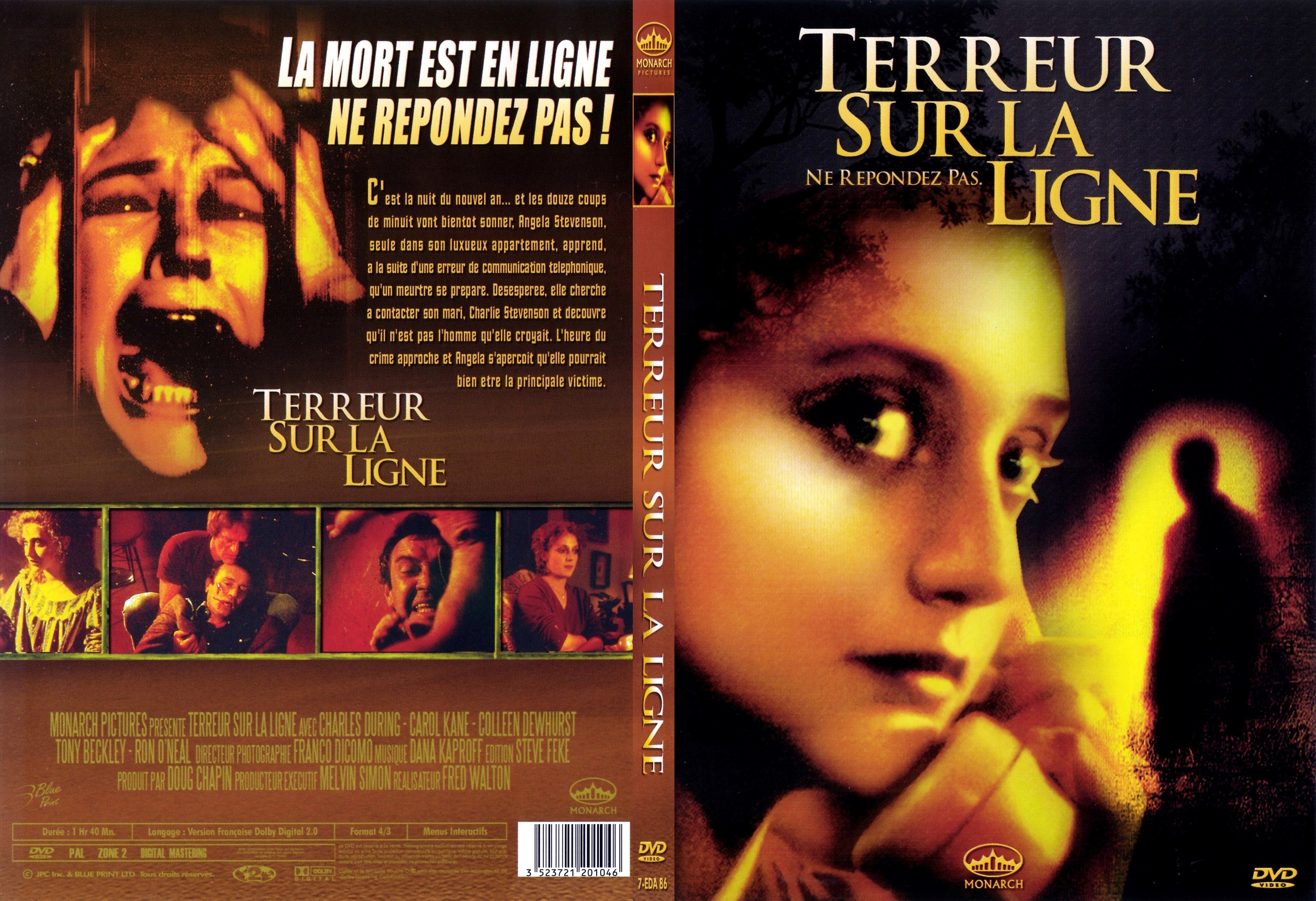 Jaquette DVD Terreur sur la ligne - SLIM