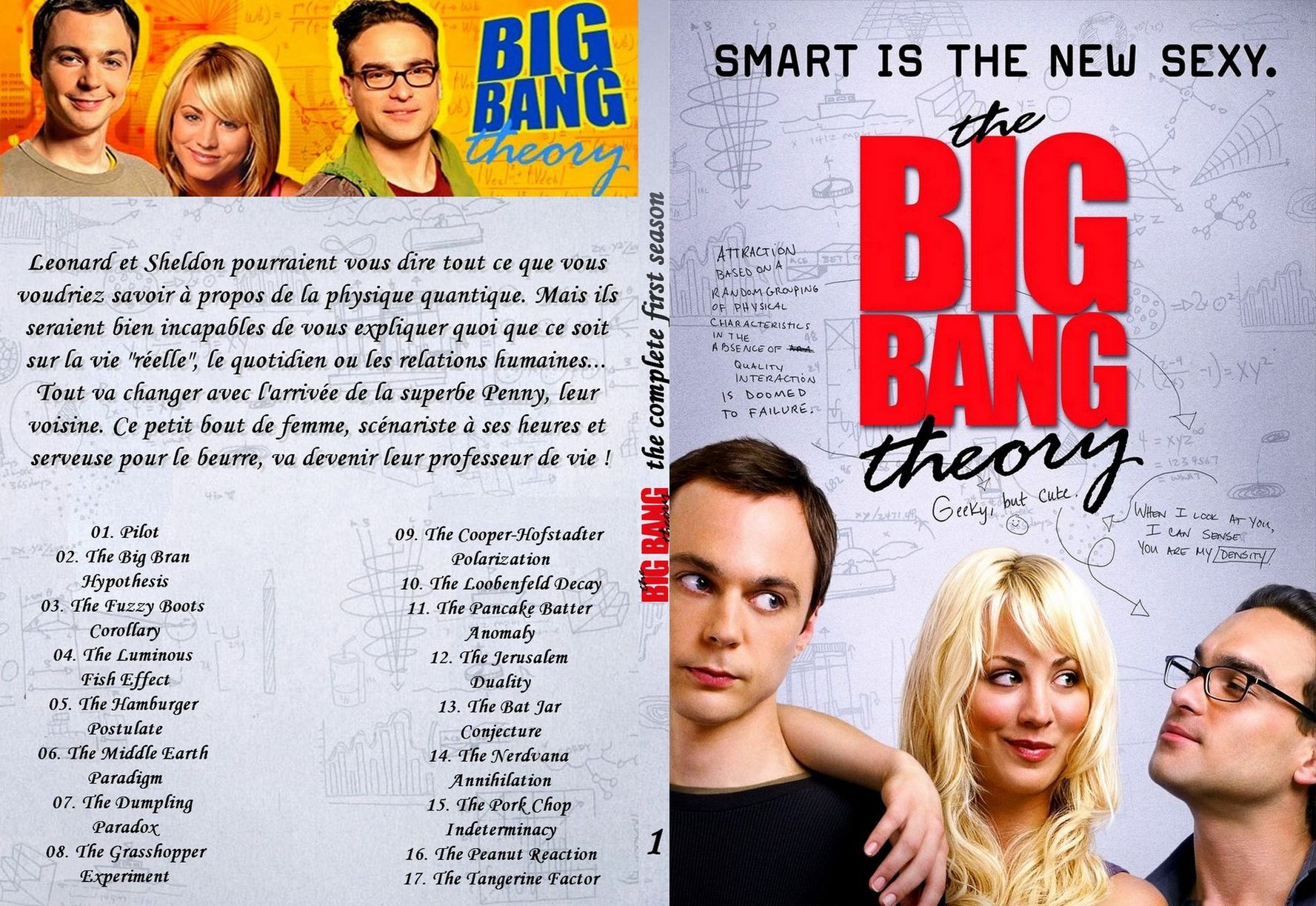 Jaquette DVD The Big Bang Theory Saison 1 custom