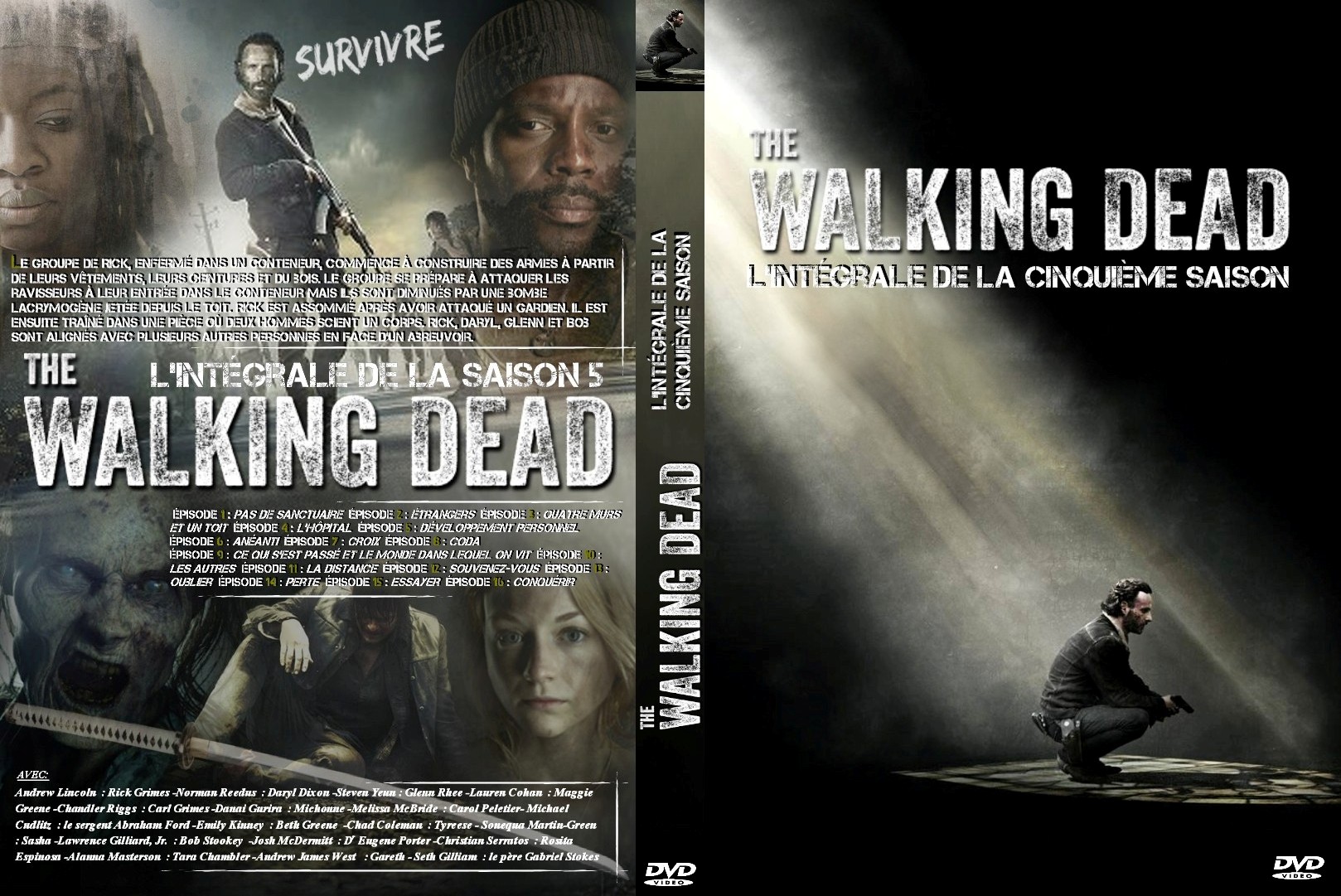 Jaquette DVD The Walking dead Saison 5 custom