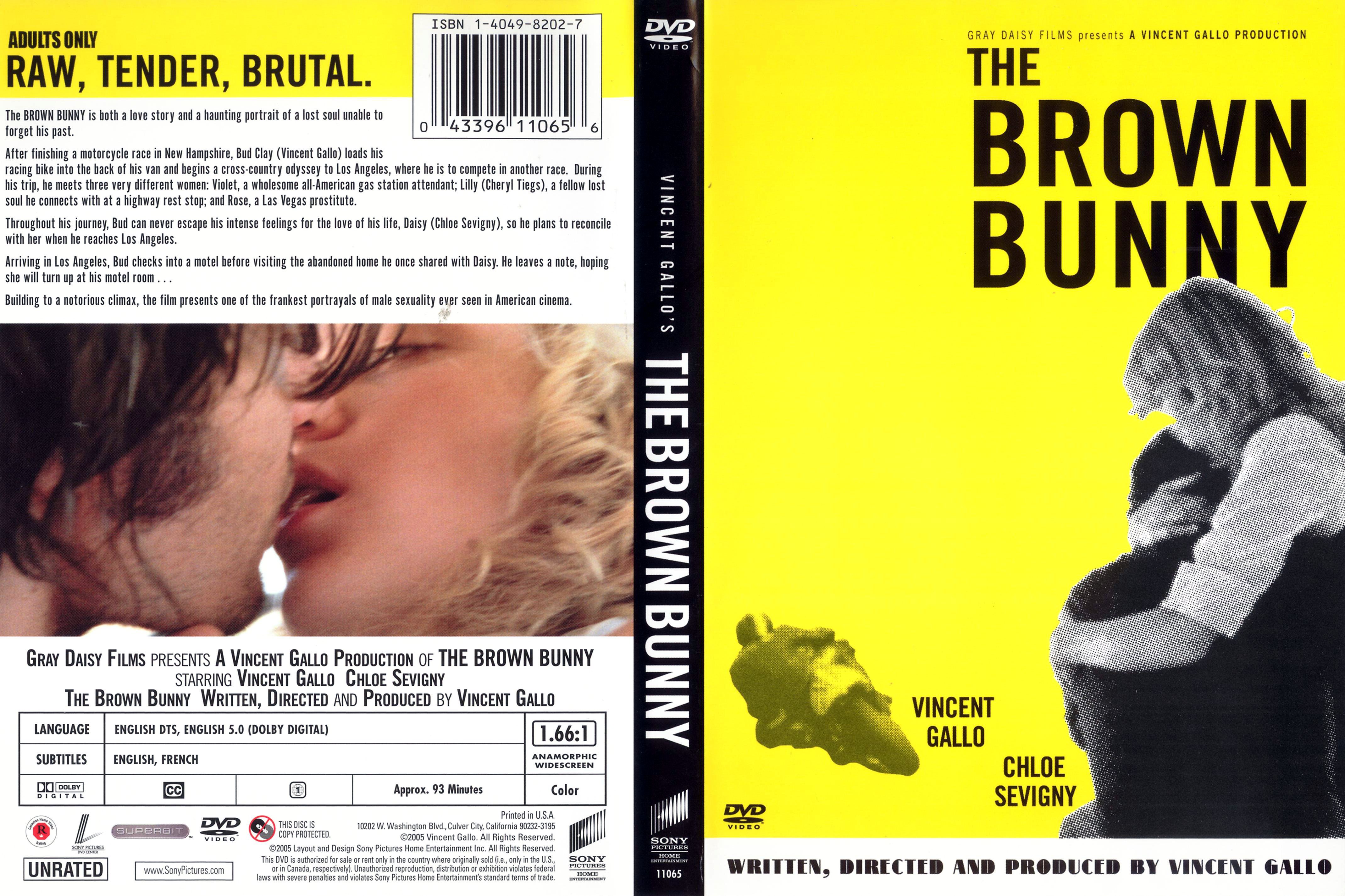 Jaquette DVD The brown bunny Zone 1