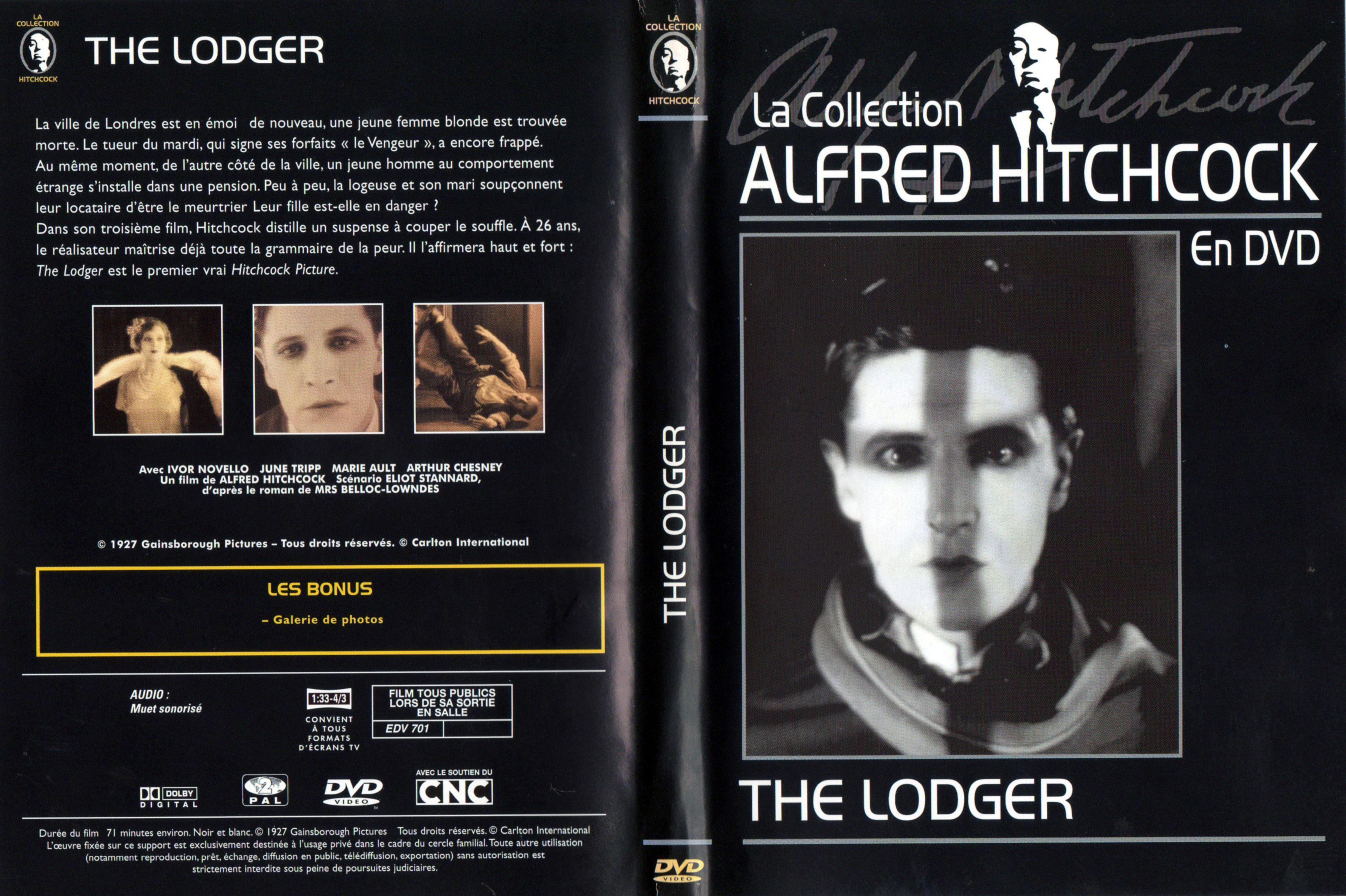Jaquette DVD The lodger