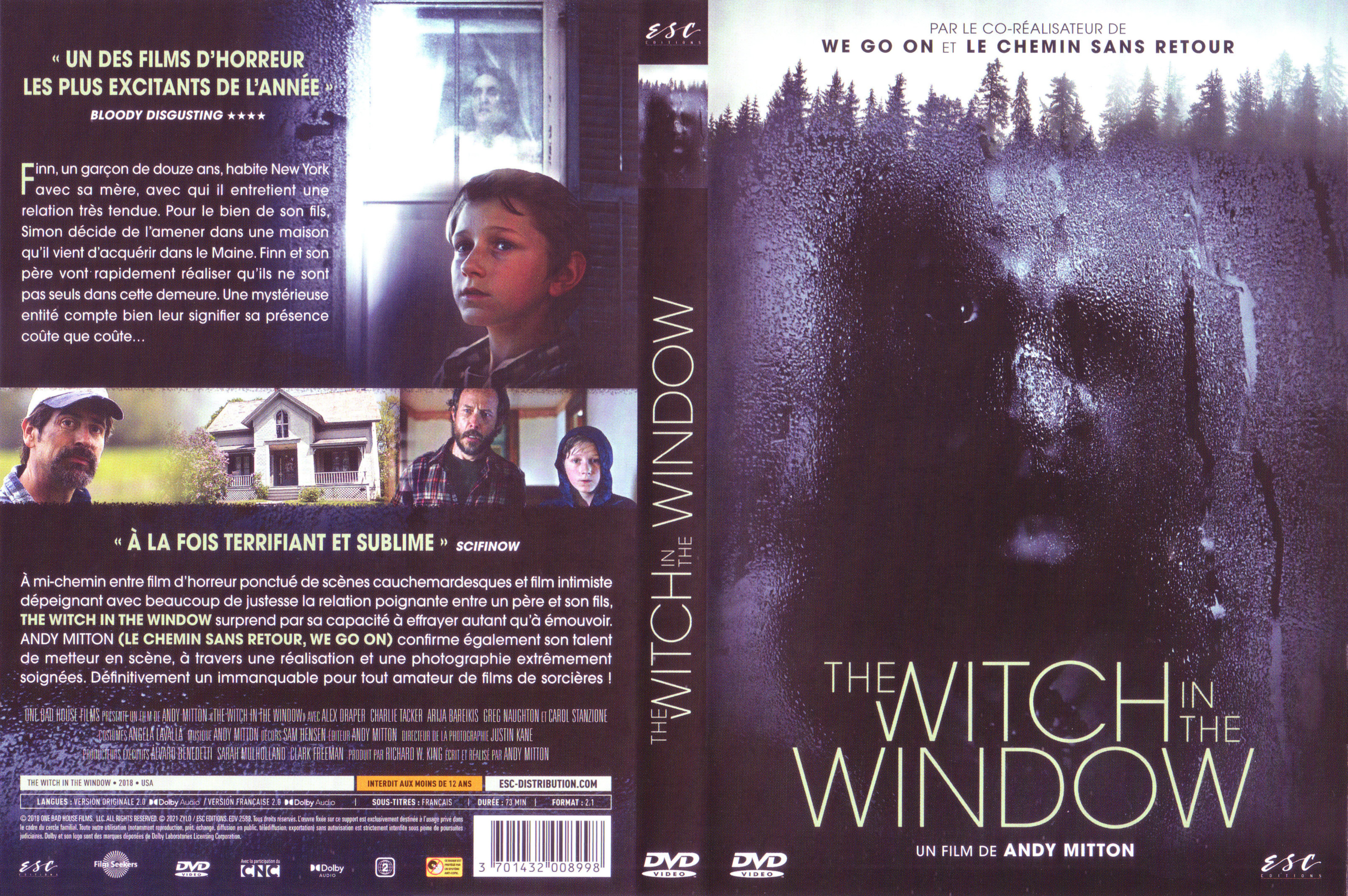 Jaquette DVD The witch in the window
