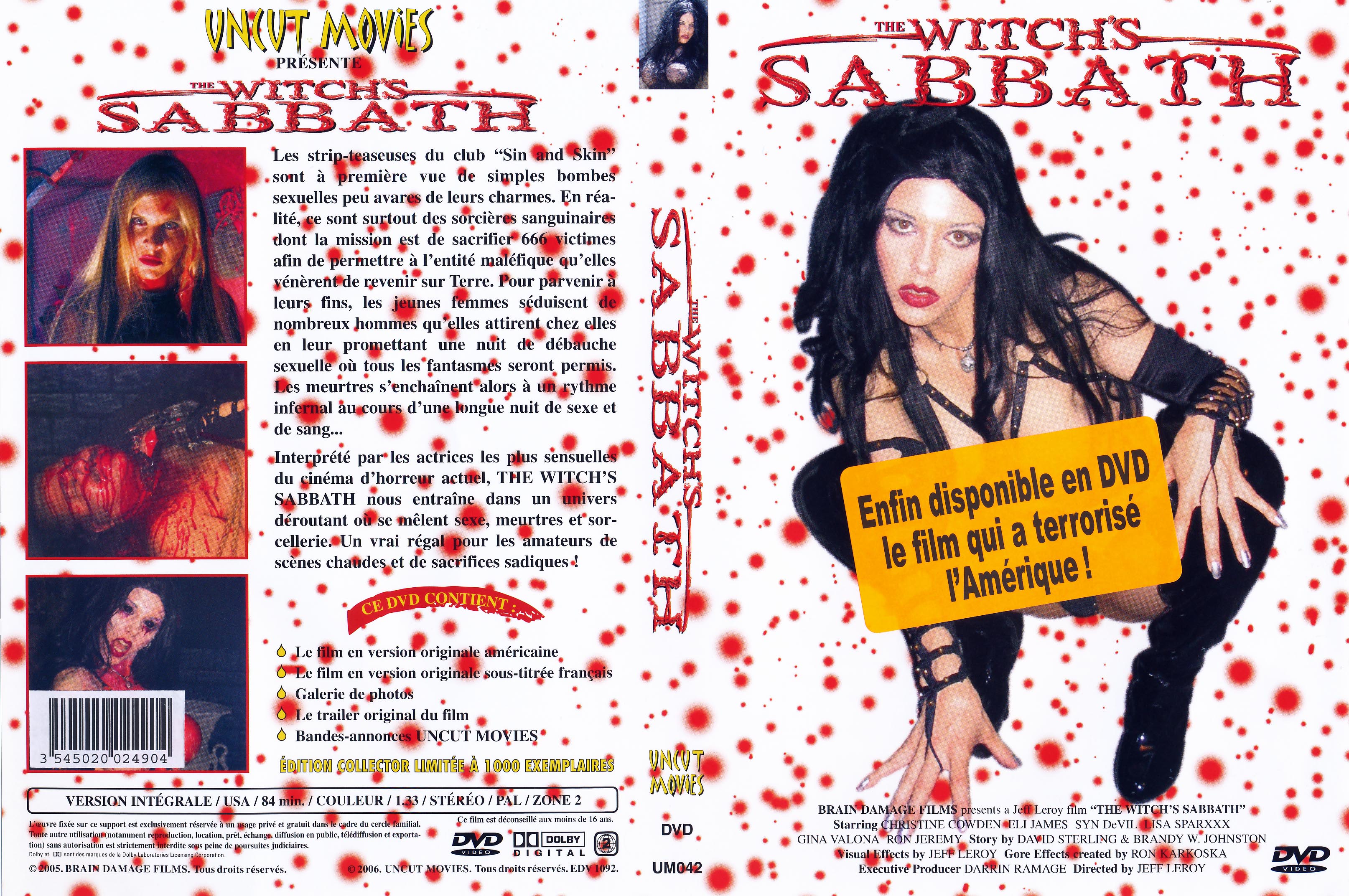Jaquette DVD The witch