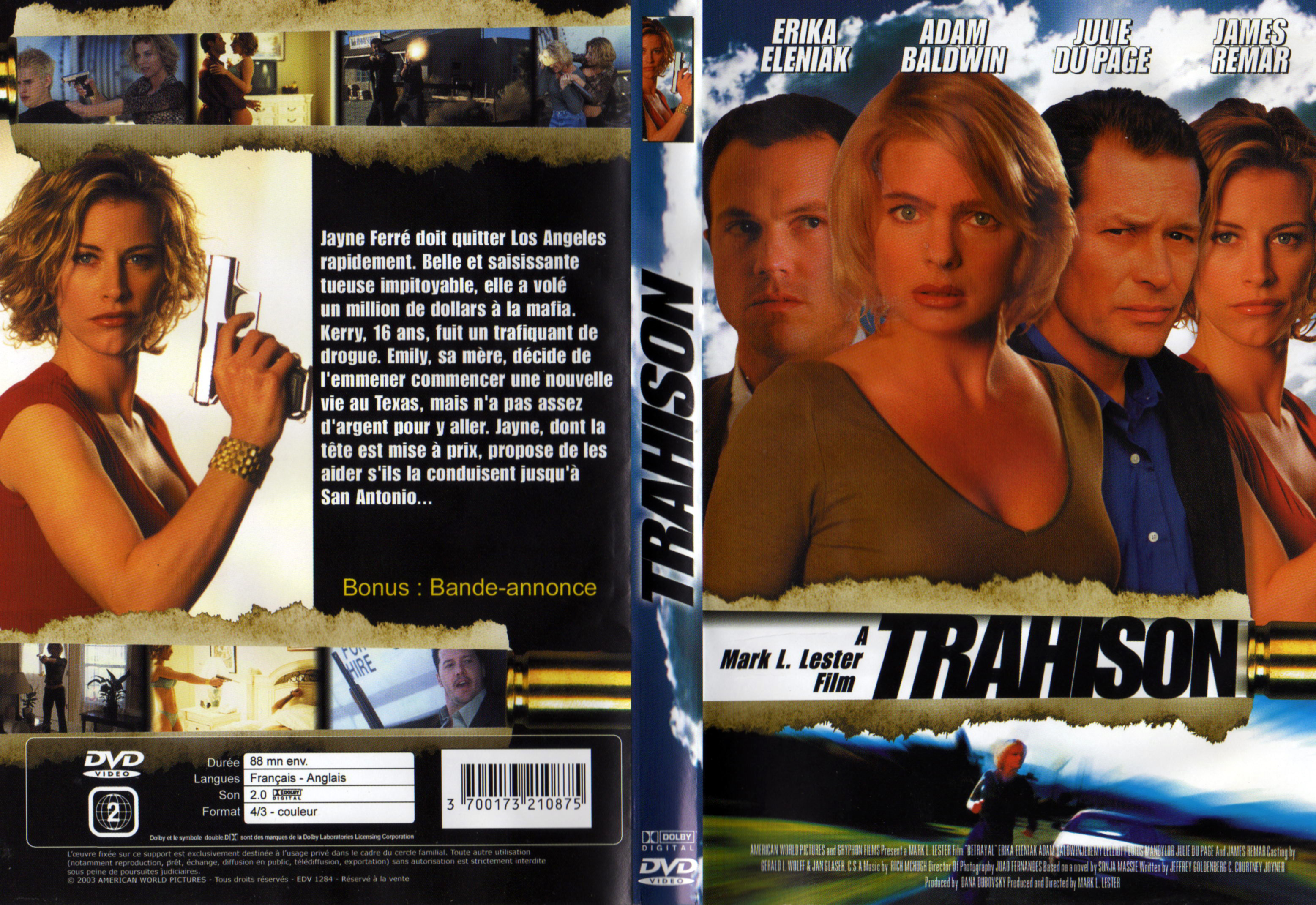 Jaquette DVD Trahison (2003)