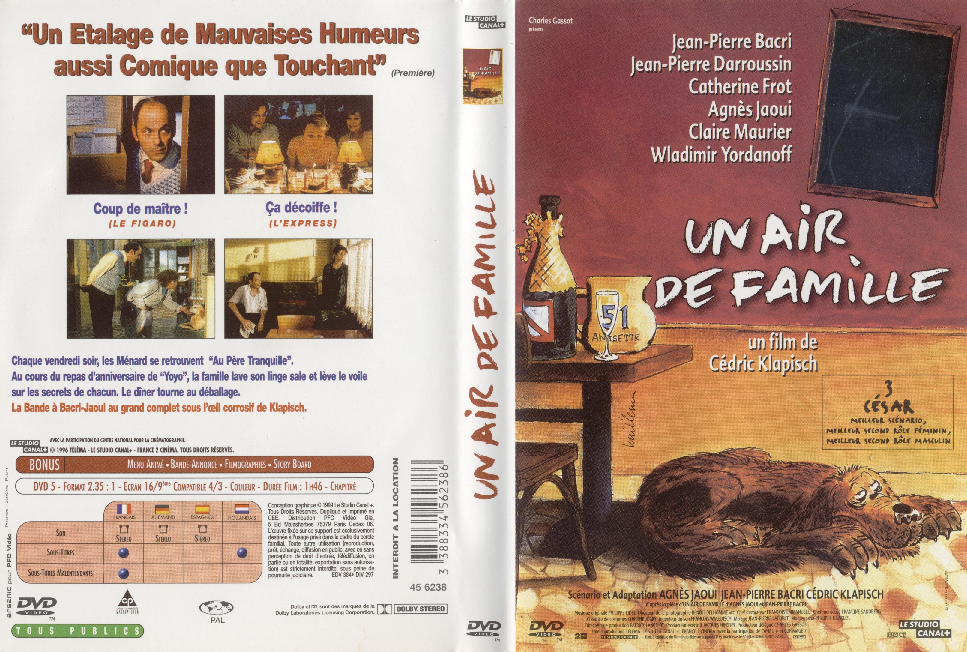 Jaquette DVD Un air de famille