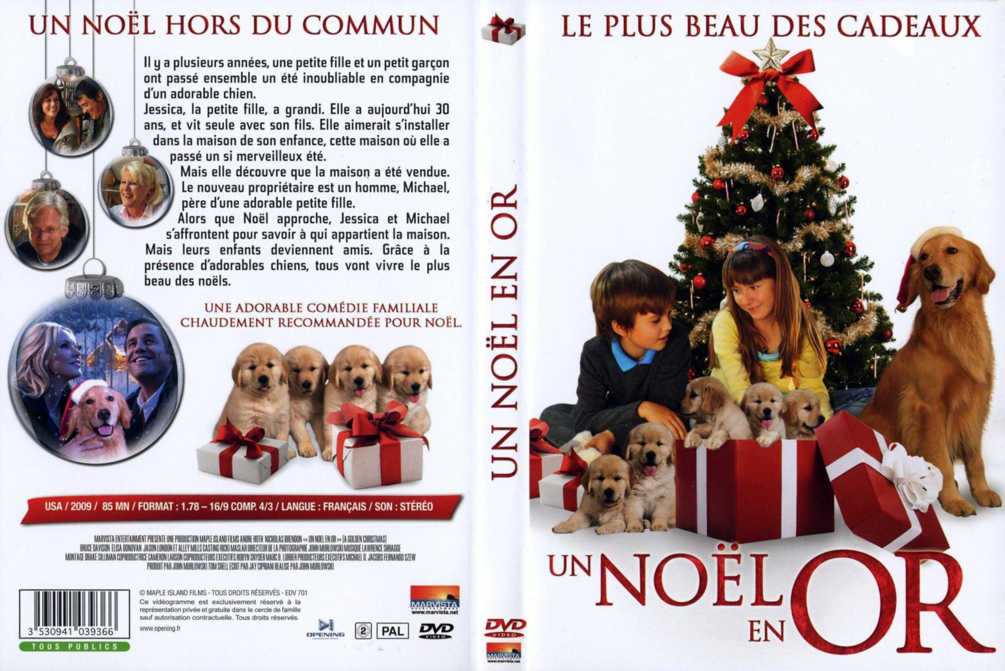 Jaquette DVD Un noel en or