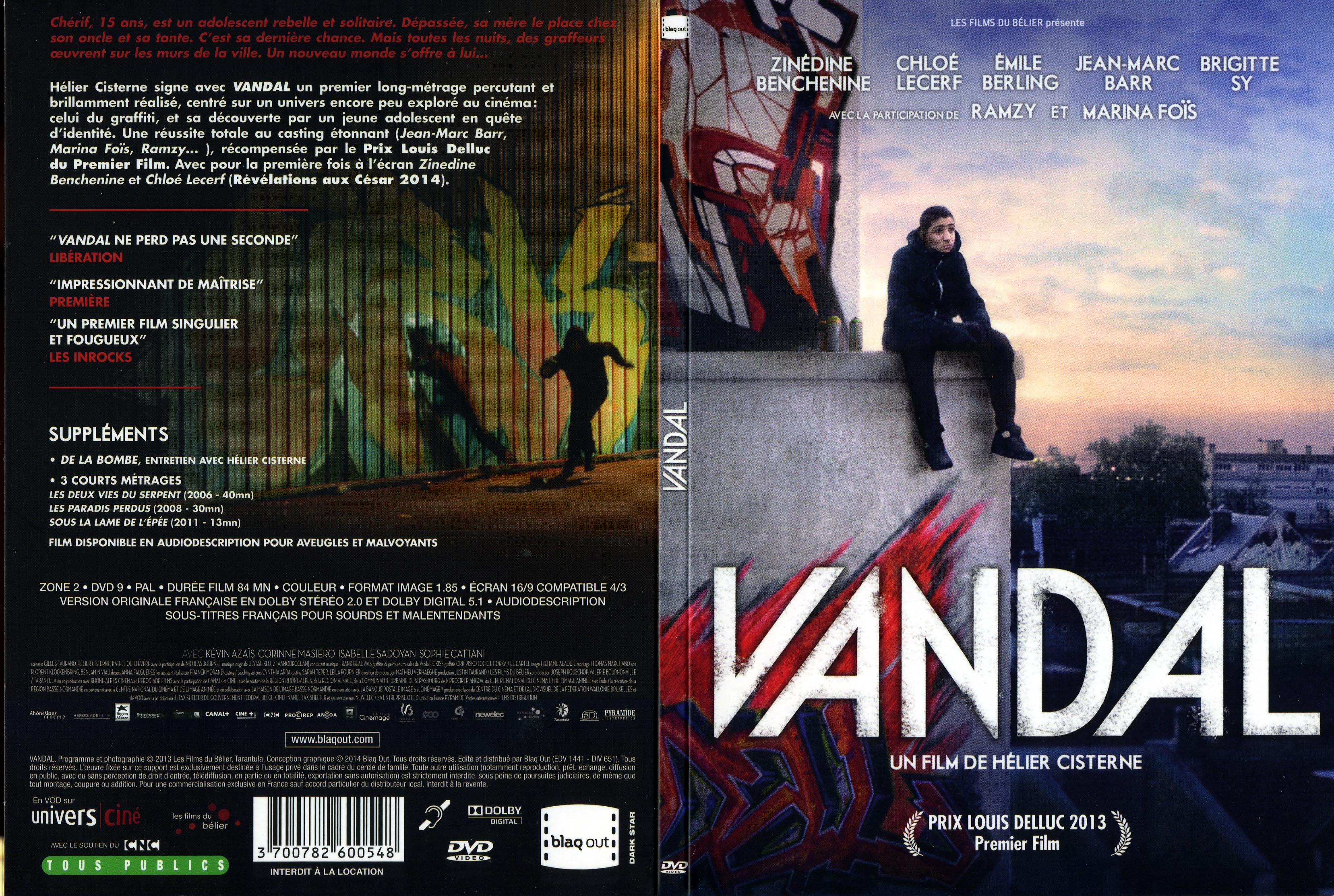 Jaquette DVD Vandal