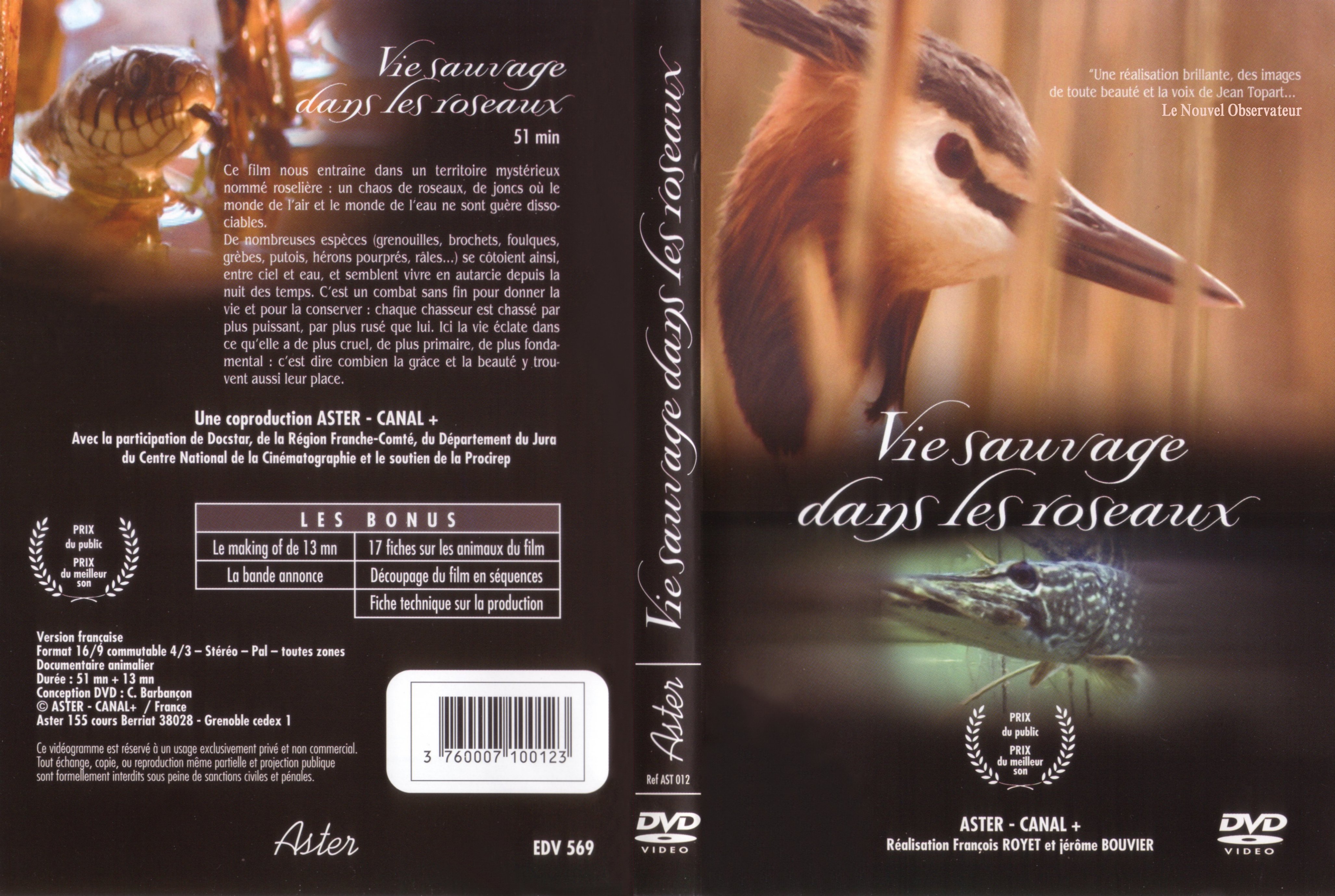 Jaquette DVD Vie sauvage dans les roseaux