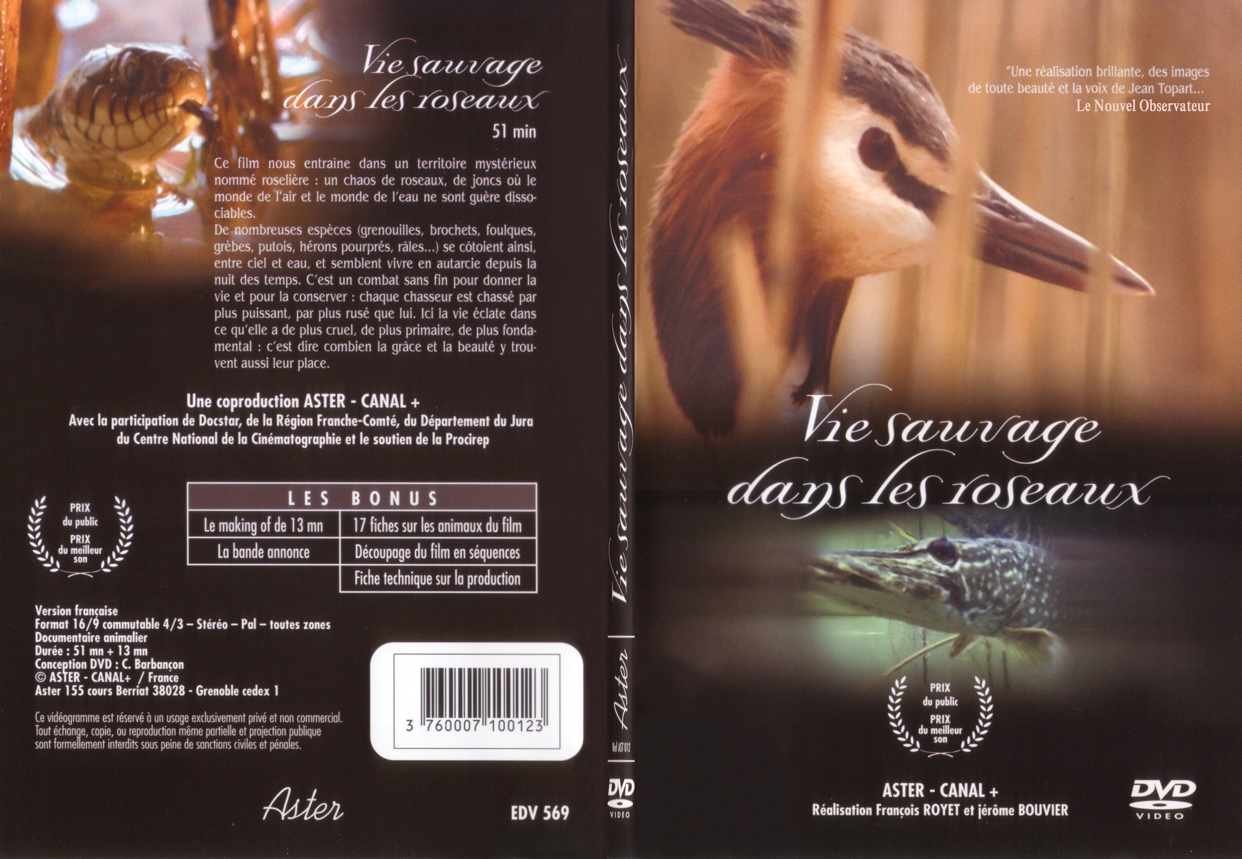 Jaquette DVD Vie sauvage dans les roseaux - SLIM