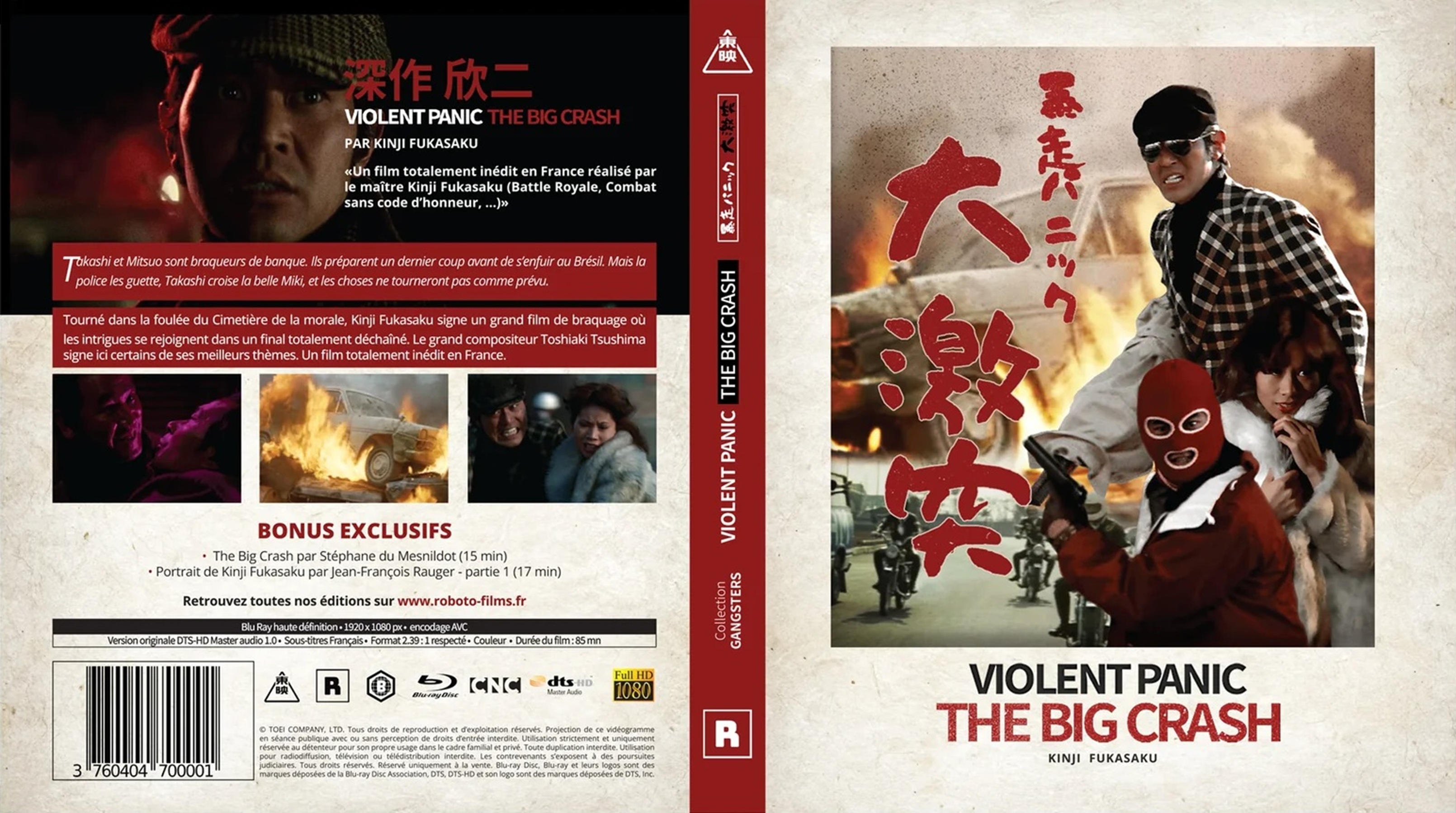 Jaquette DVD Violent panic the big crash
