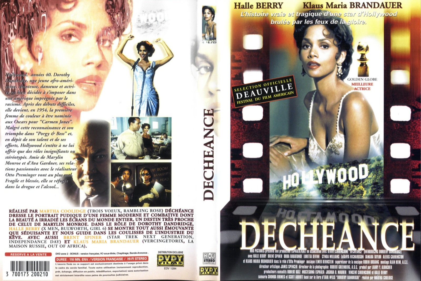 Jaquette DVD Decheance