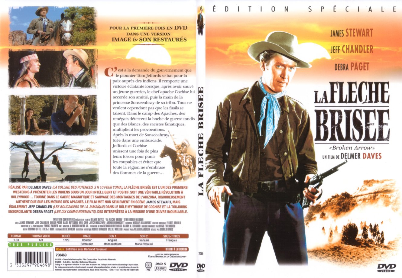 Jaquette DVD La fleche brise - SLIM