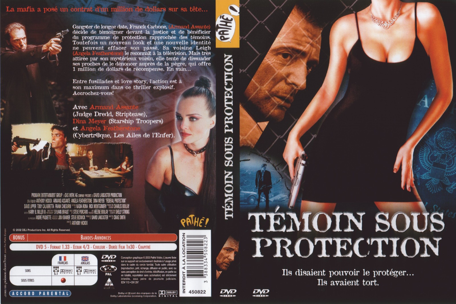 Jaquette DVD Temoin sous protection v2