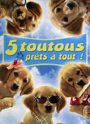 5 Toutous Prts  Tout