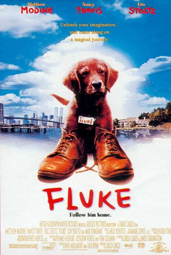 Fluke