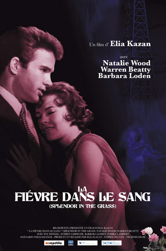 La fivre dans le sang