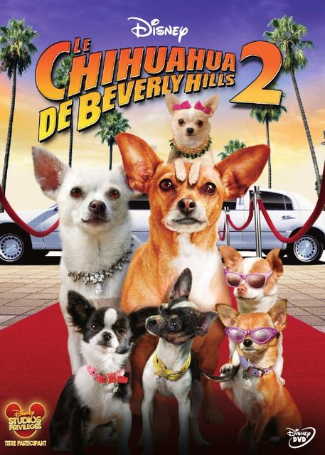 Le Chihuahua de Beverly Hills 2