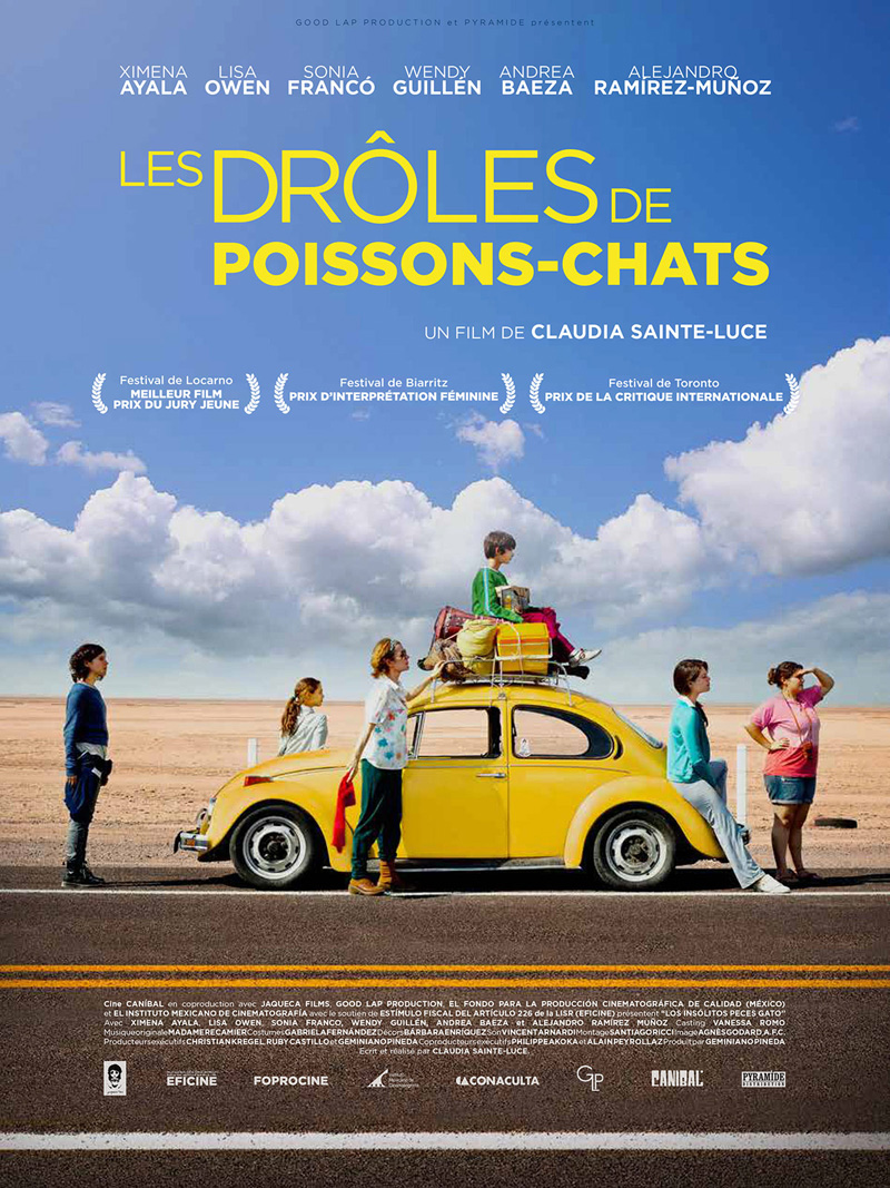 Les drles de poissons-chats