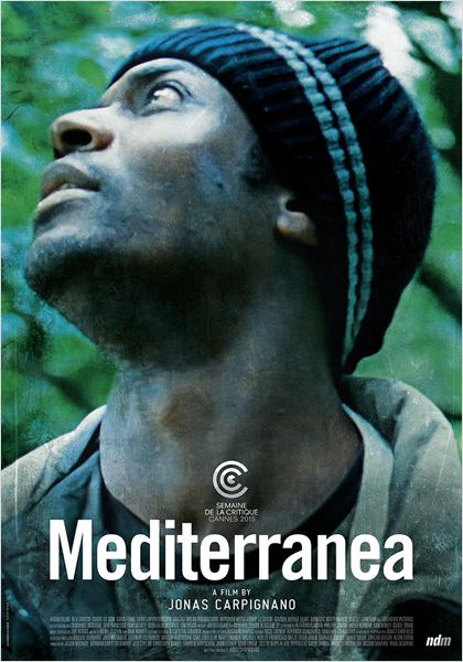 Mediterranea