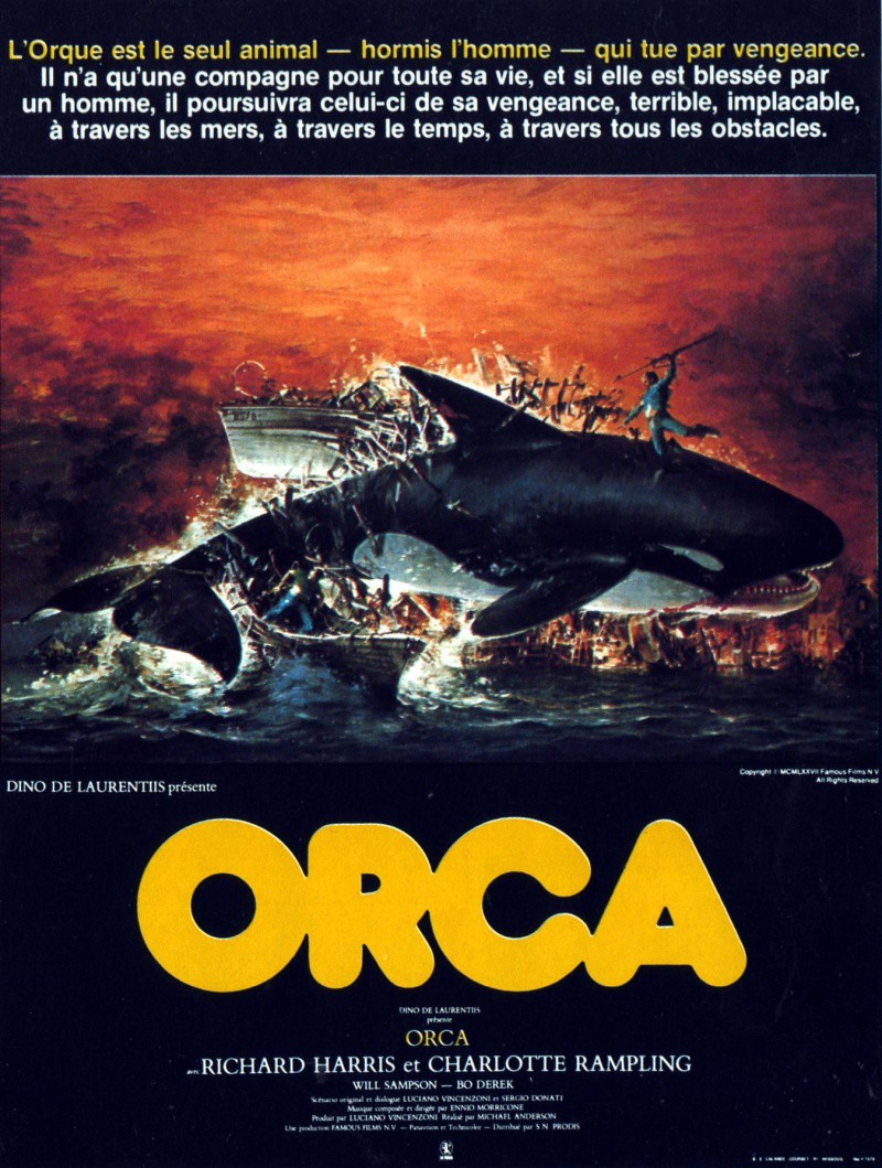 Orca