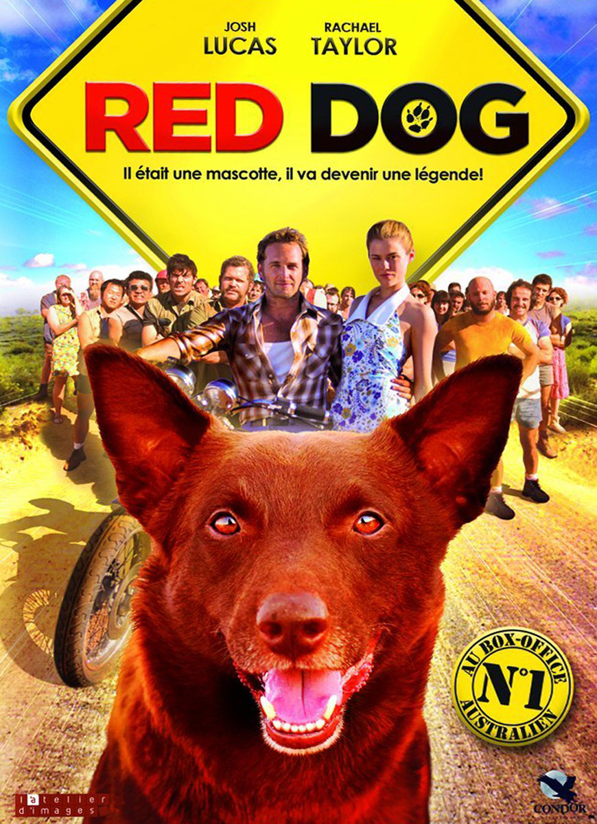 Red Dog