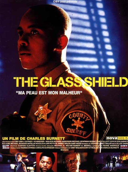 The Glass Shield