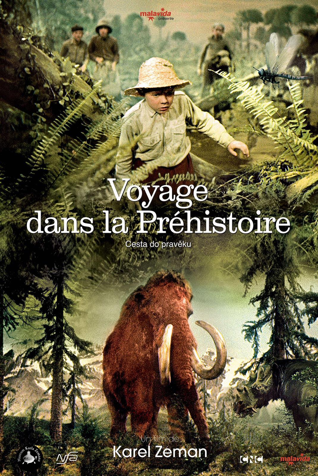 Voyage dans la prhistoire