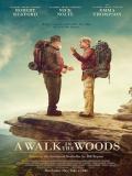 Affiche de A Walk in the Woods