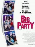 Affiche de Big party