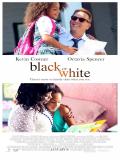 Affiche de Black or White