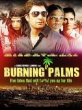 Affiche de Burning Palms