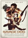 Affiche de Chien sauvage