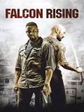 Affiche de Falcon Rising