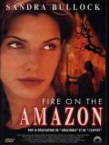 Affiche de Fire on the Amazon