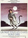 Affiche de La Nuit tous les chats sont gris