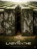 Affiche de Le Labyrinthe