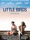 Affiche de Little Birds