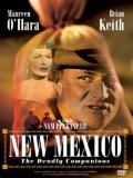 Affiche de New Mexico
