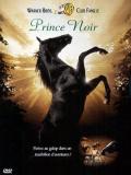 Affiche de Prince Noir