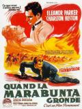 Affiche de Quand la Marabunta gronde