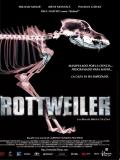Affiche de Rottweiler