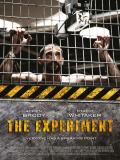 Affiche de The Experiment