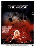 Affiche de The rose