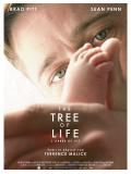 Affiche de The Tree of Life