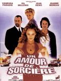 Affiche de Un amour de sorcire