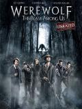 Affiche de Werewolf