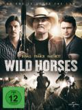 Affiche de Wild Horses